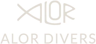 Alor Divers logo