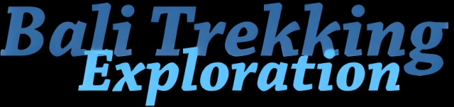 Bali Trekking Exploration logo