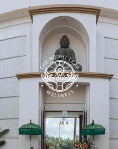 the-bodhi-leaf-wellness